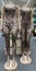Cheetah Print Jumpsuits