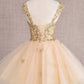 Butterfly Applique Sequin Mesh Babydoll w/ Sheer Straps Short Homecoming Dress GLGS3186