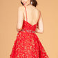 Mock Two-Piece Babydoll w/ 3D Flower Appliques Short Homecoming Dress GLGS3091