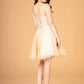 3D Flower Jewel Mesh Short Babydoll w/ Corset Back Short Homecoming Dress GLGS3094
